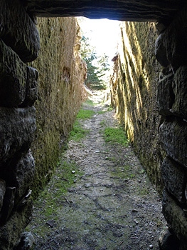 The dromos of Phylaki tholos tomb